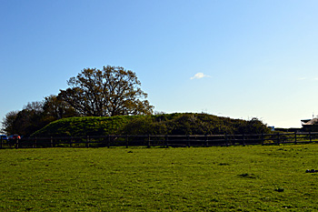 Conger Hill April 2016
